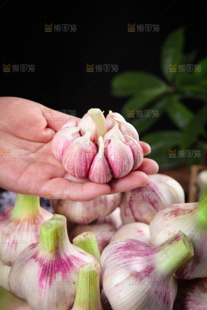 手里拿着多瓣蒜