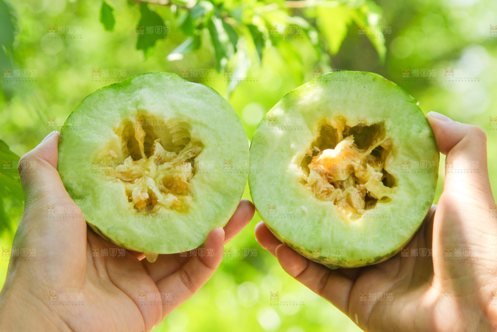手里拿着两半甜瓜对比