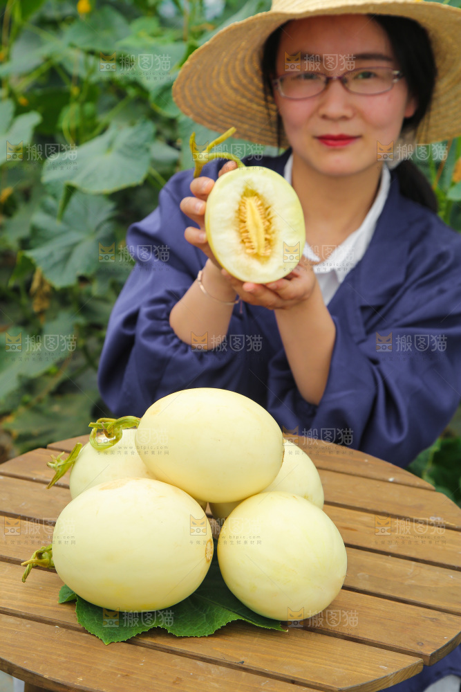 手里拿着阎良甜瓜