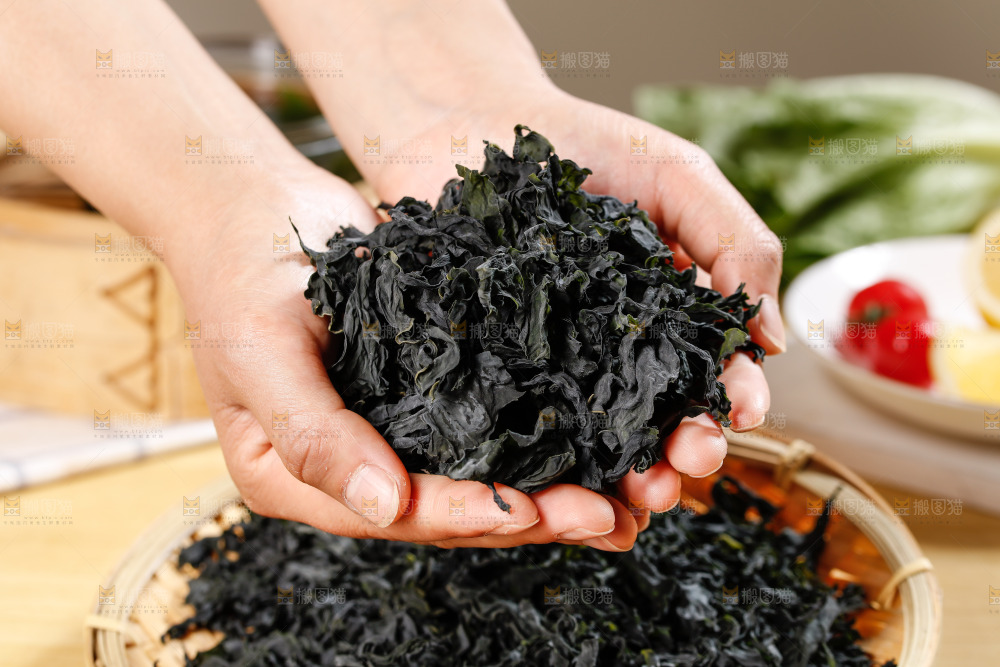 手里捧着裙带菜
