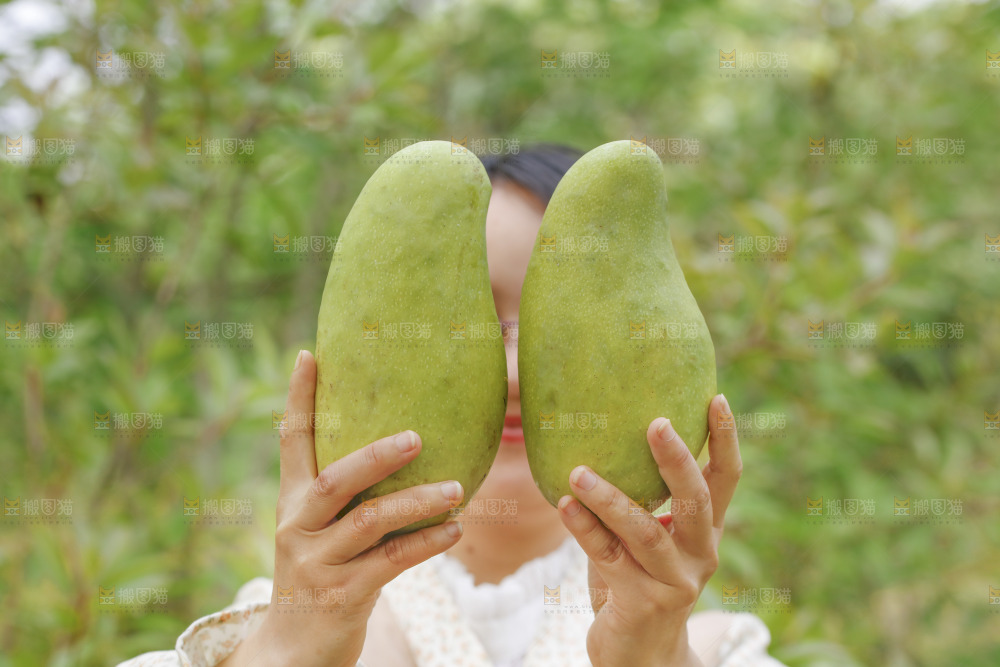 手里拿着大金煌芒