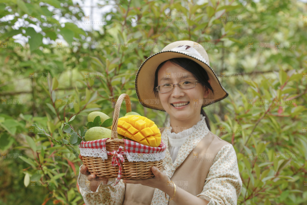 手里端着金煌芒果