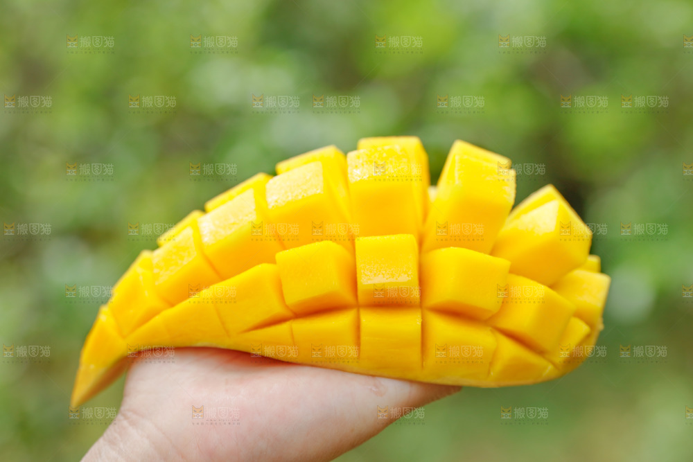 手里拿着芒果