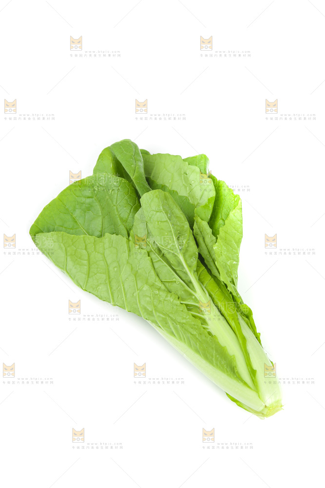 白底上放着小白菜