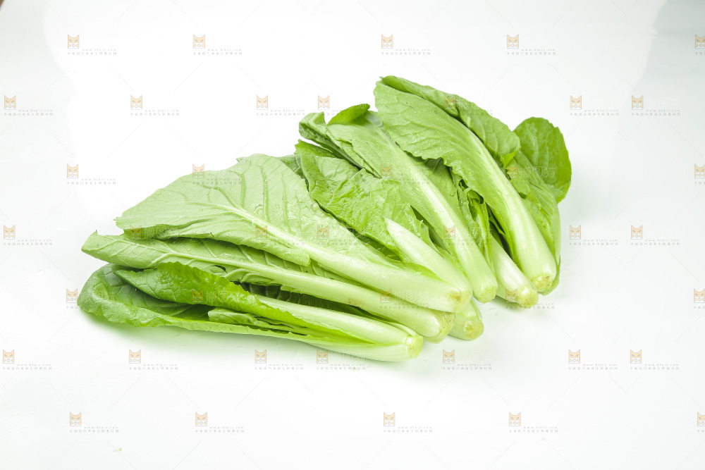 白底上放着小白菜