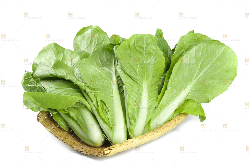 一篮小白菜