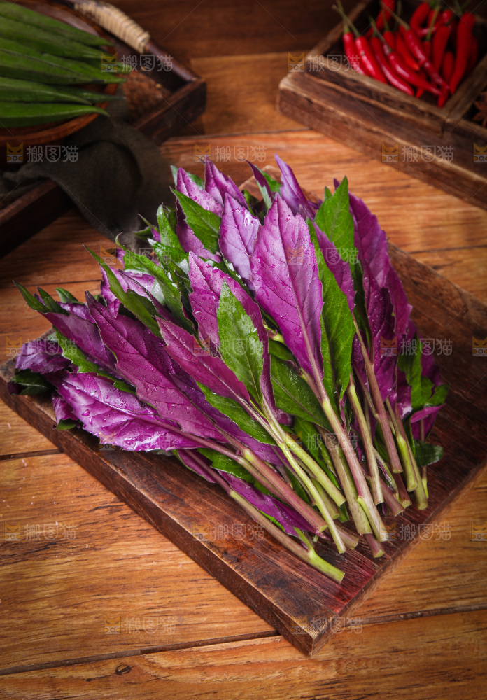 一堆红背菜