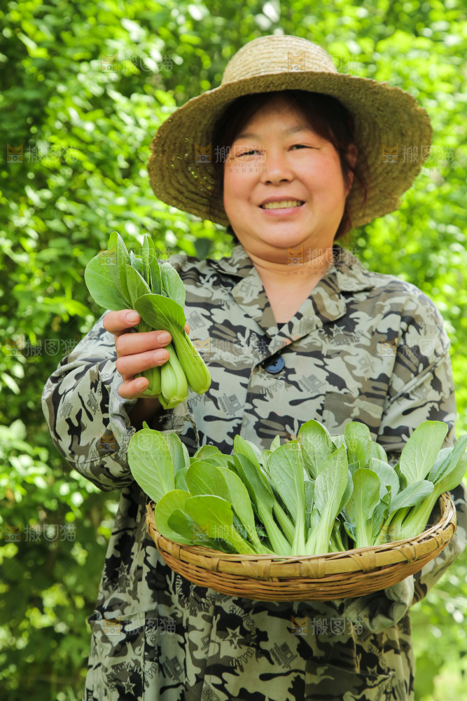 手里端着一篮青菜