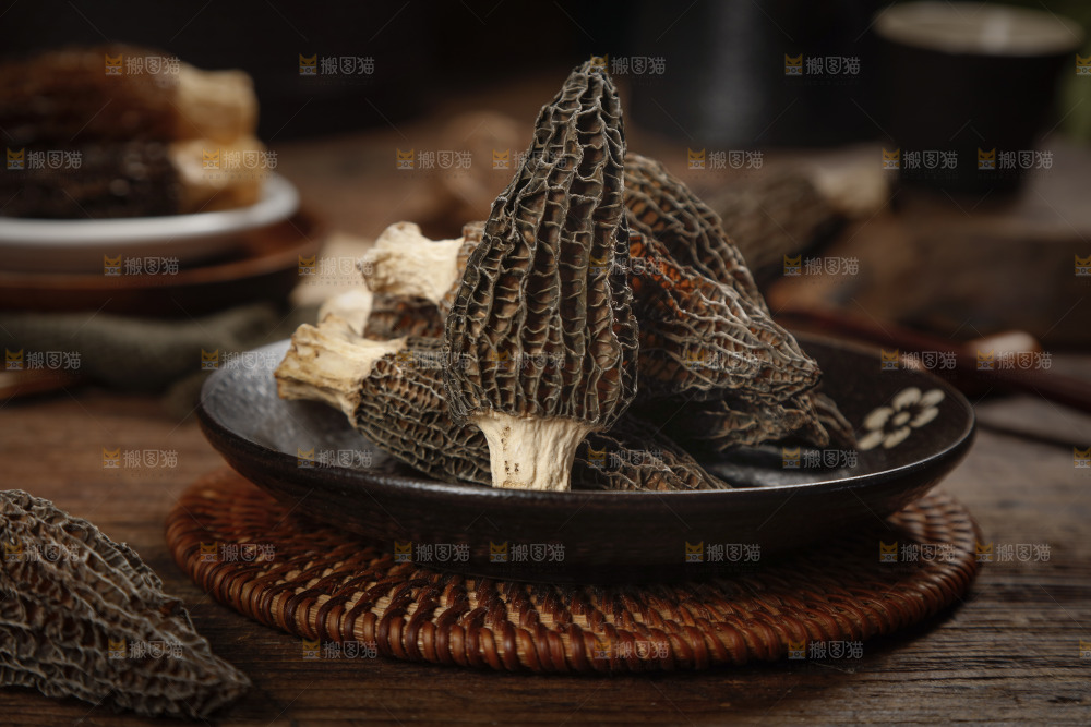 羊肚菌