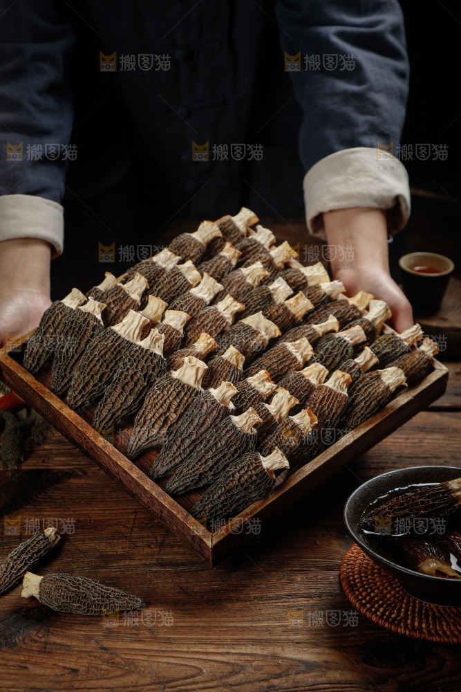 羊肚菌