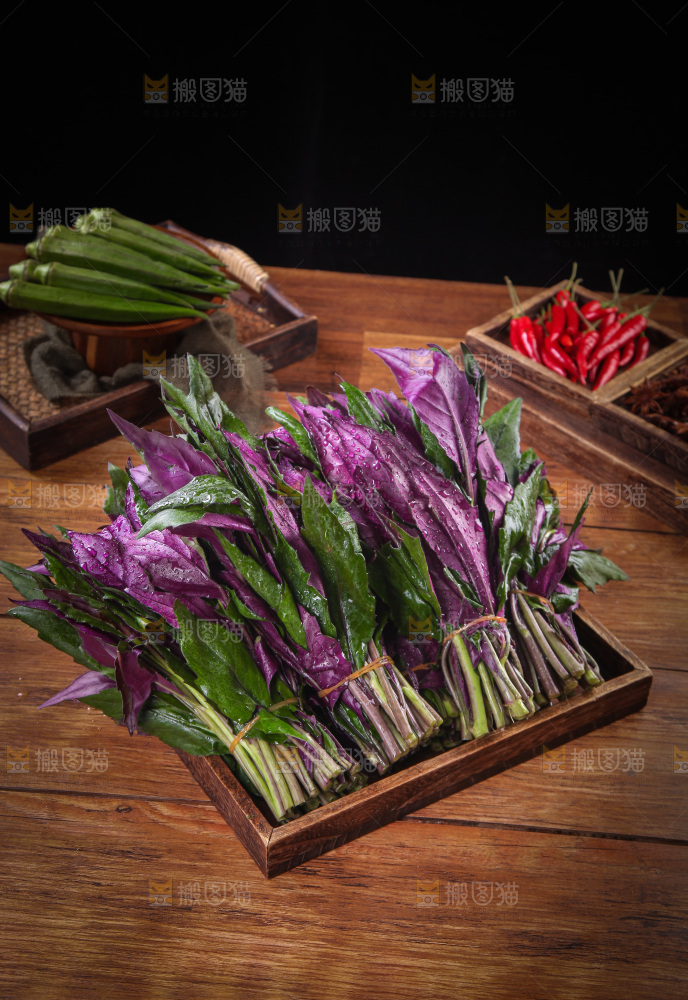 木底上放着一盘紫背天葵