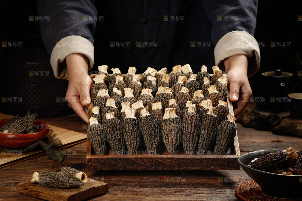 羊肚菌