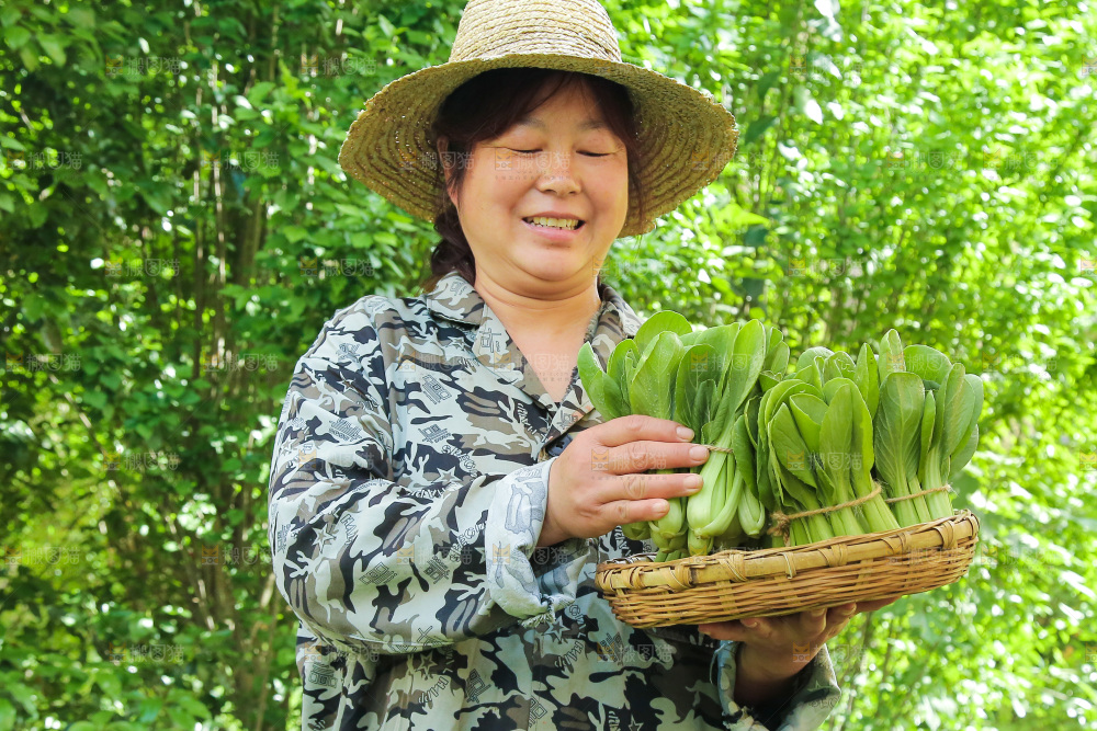 手里端着一篮新鲜青菜