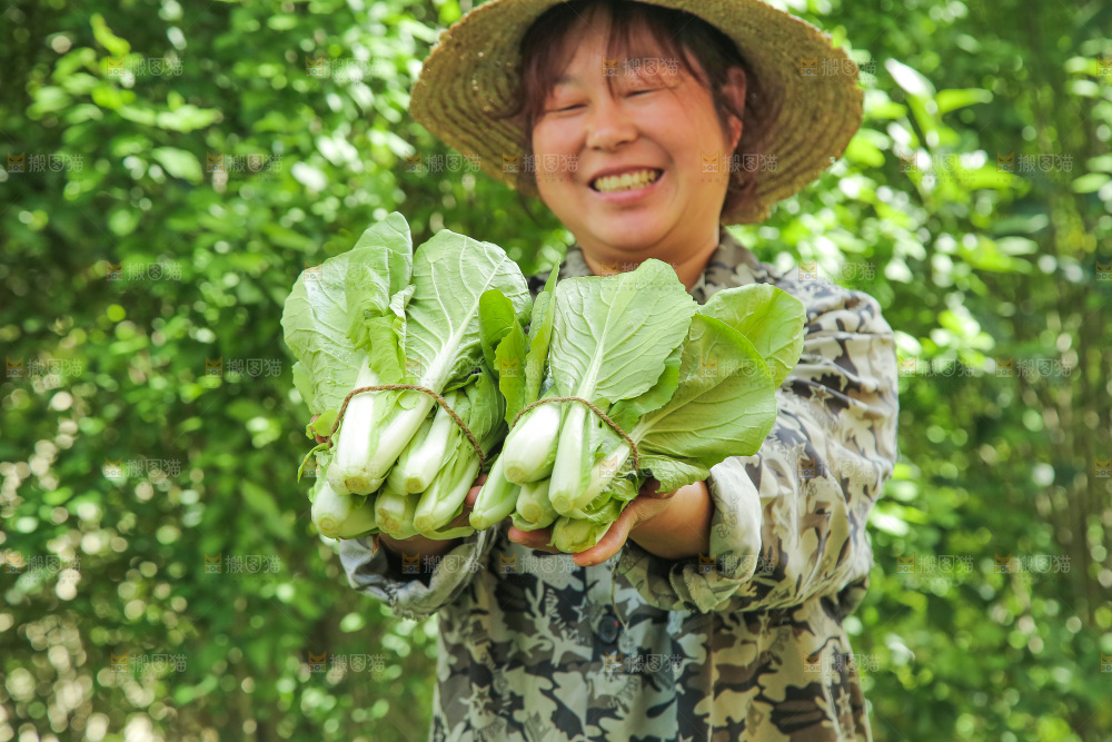 手里拿着小白菜