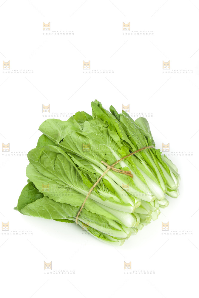 白底上放着一捆新鲜小白菜