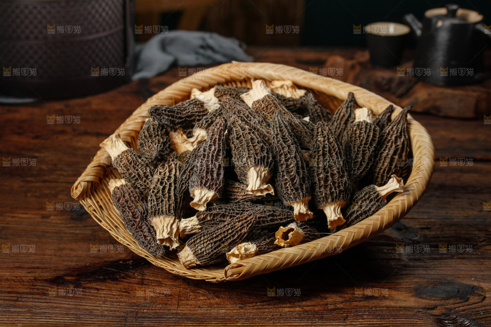羊肚菌