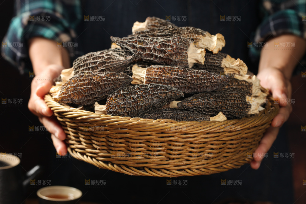 手里端着一篮羊肚菌