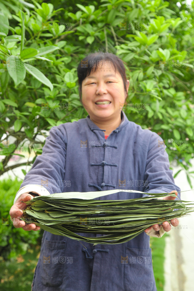 手里拿着粽叶