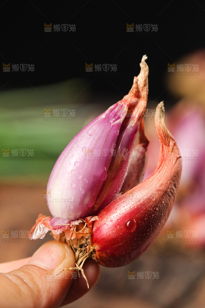 手里拿着葱头