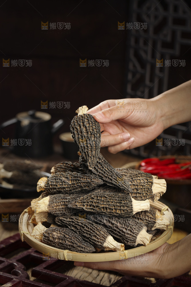 手里拿着羊肚菇