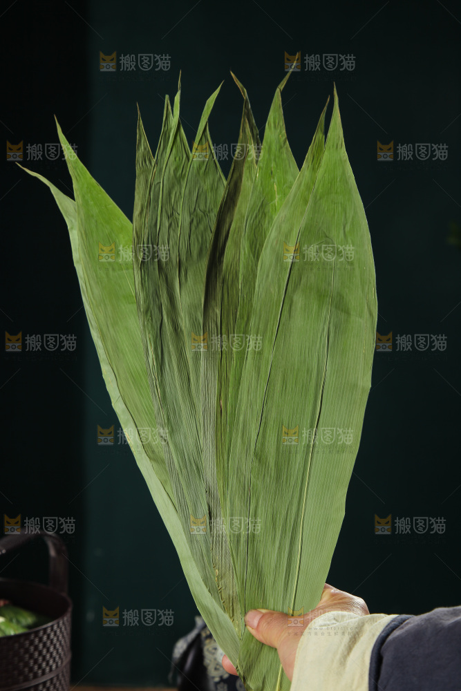 手里拿着粽叶子