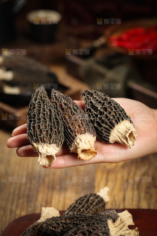 羊肚菌