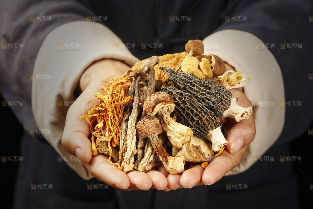 手里捧着八珍菌菇食材