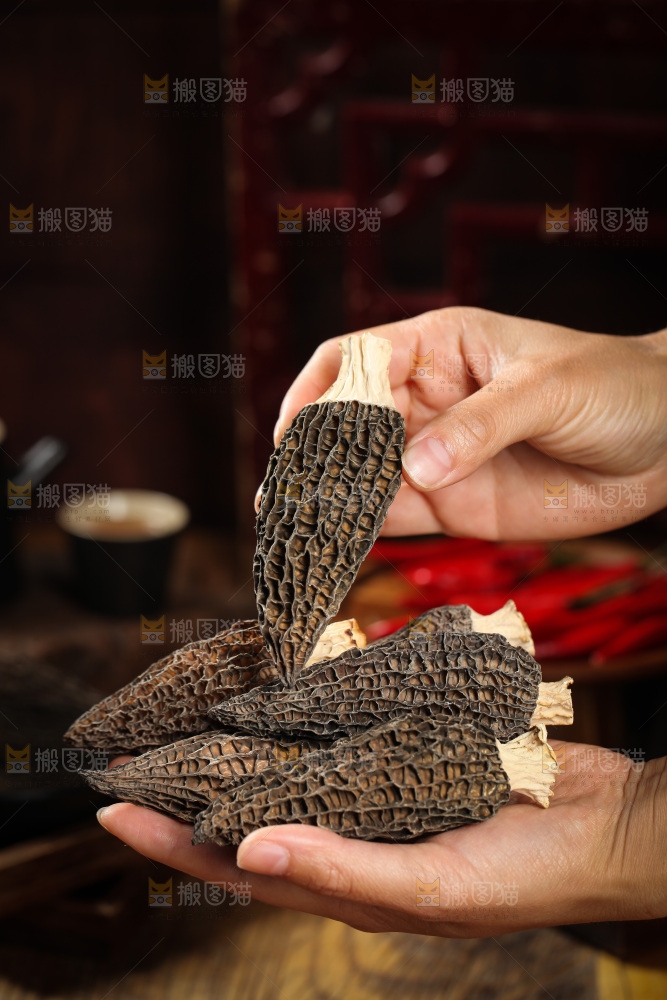 手里拿着云南羊肚菌