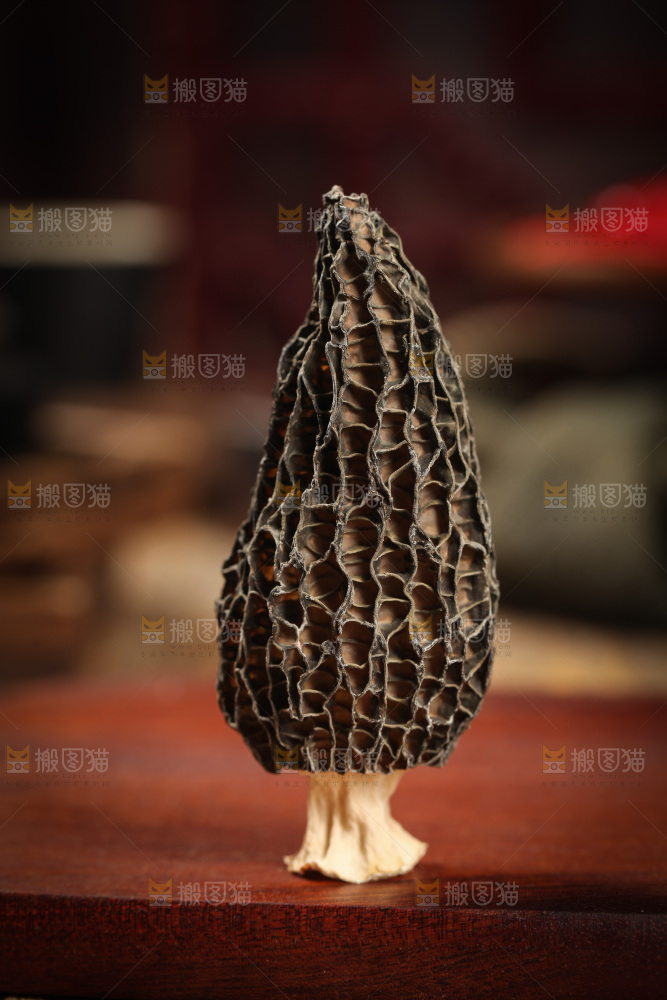 木底上放着羊肚菌