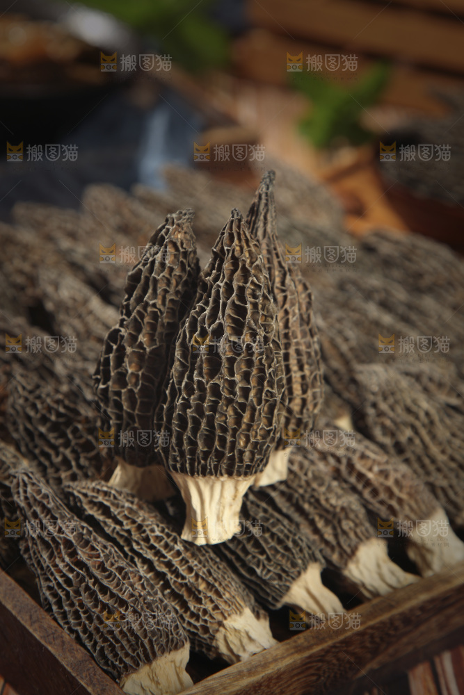 一盘羊肚菌