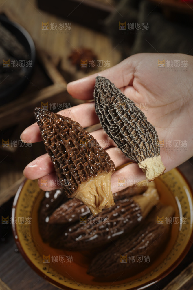 手里拿着羊肚蘑