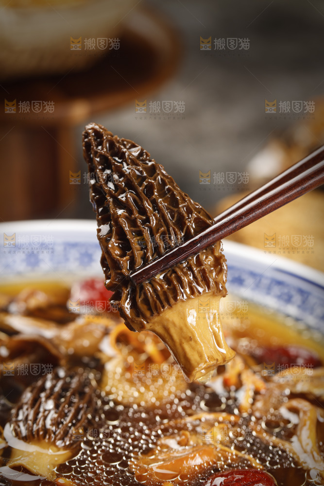 筷子上夹着羊肚菌