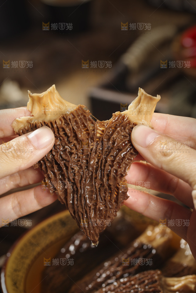 手里拿着羊肚蘑