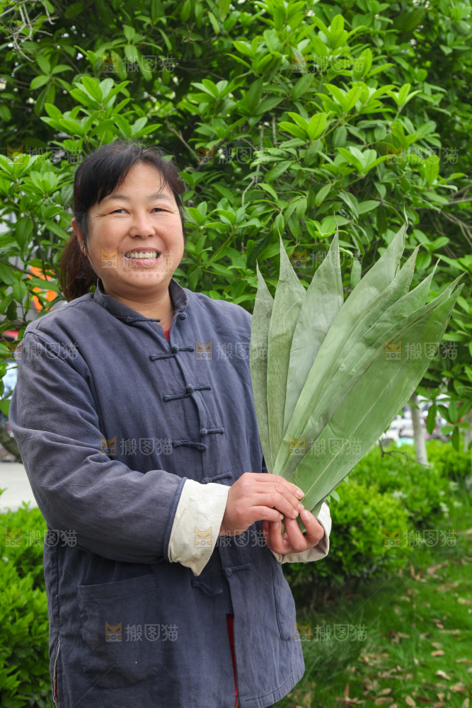 手里拿着大粽叶