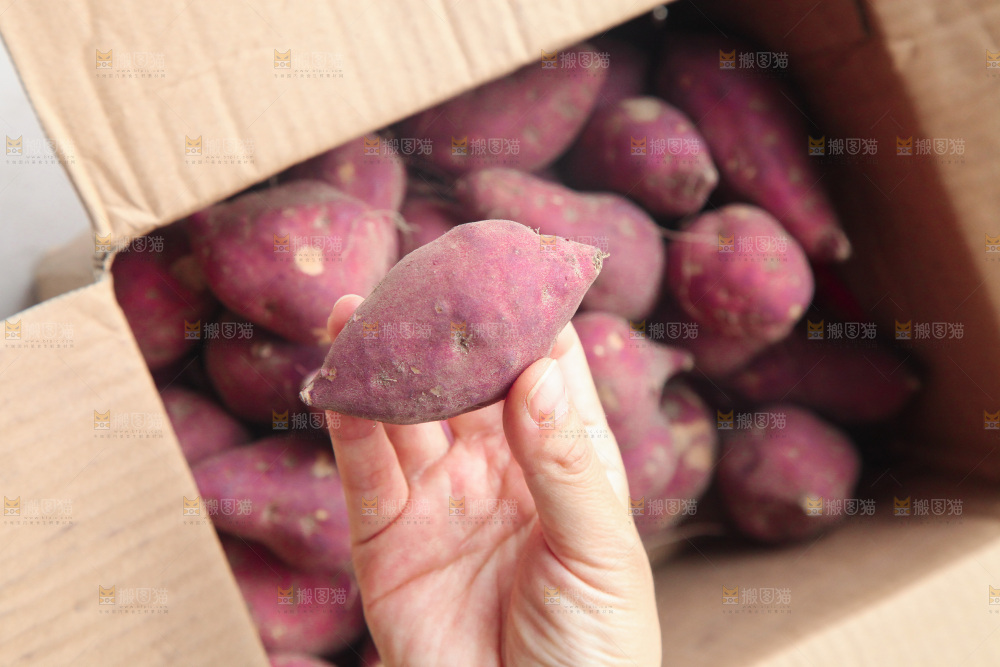 手里拿着鸡蛋小香薯