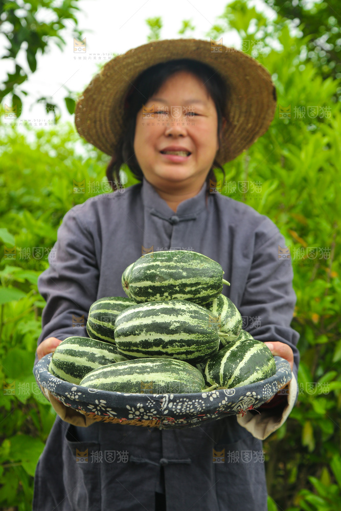 手里端着一篮博洋9号甜瓜