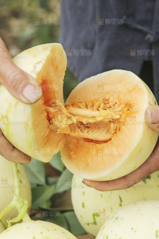 掰成两半的红心月露流星蜜瓜