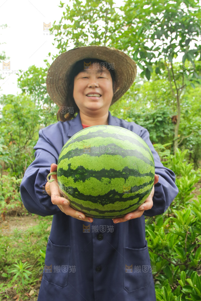 手里抱着西瓜