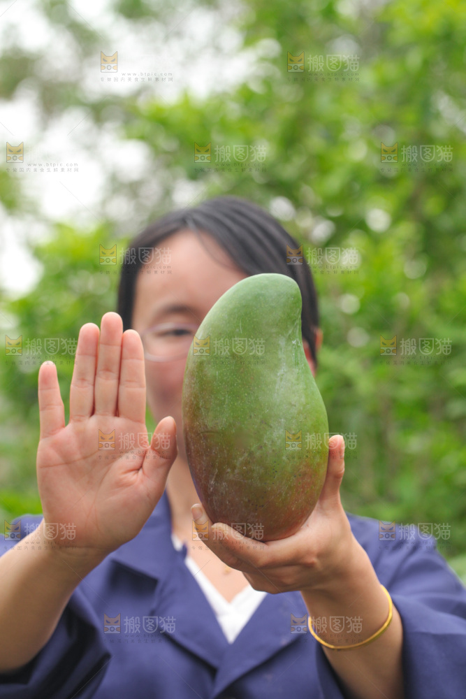 手里拿着金煌芒和手对比
