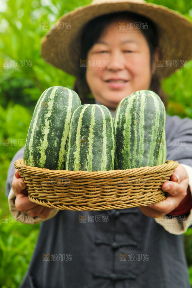 手里端着一篮博洋9号