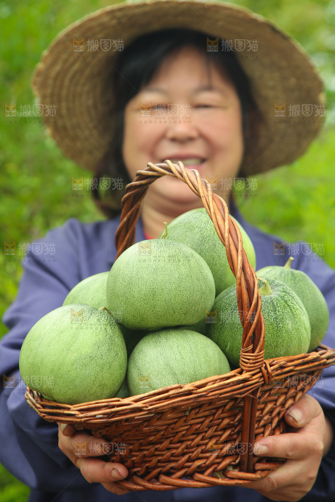 手里端着一篮绿宝甜瓜