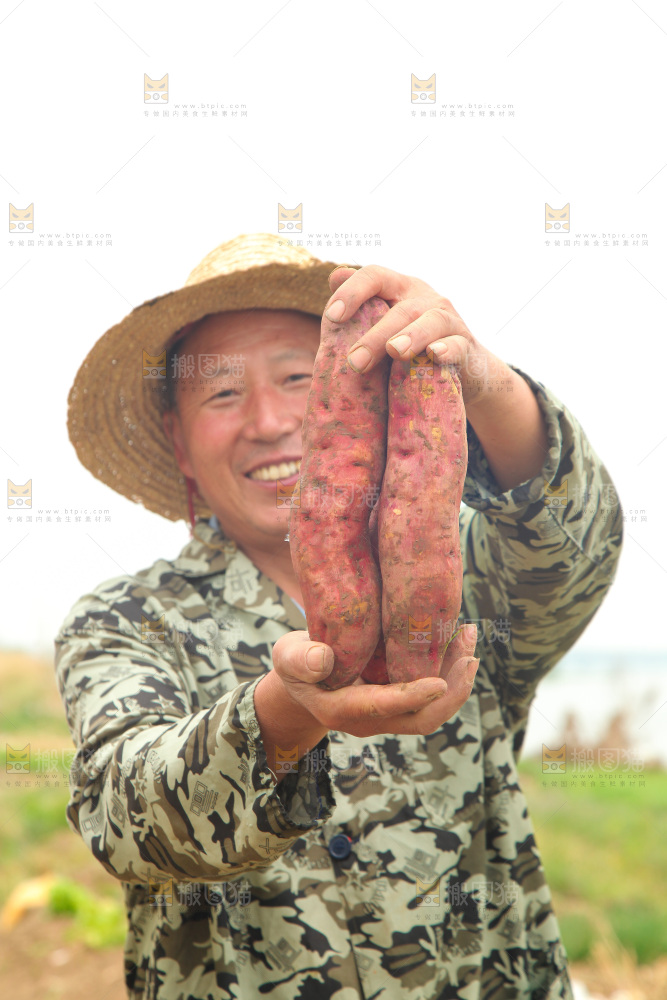 手里拿着板栗薯
