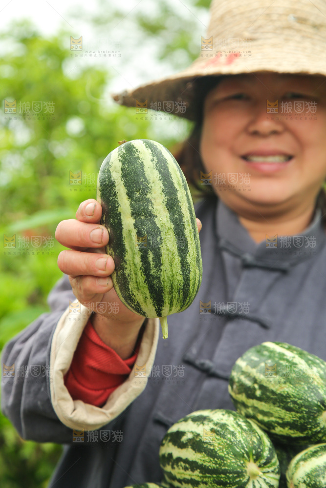 手里拿着博洋9号蜜瓜