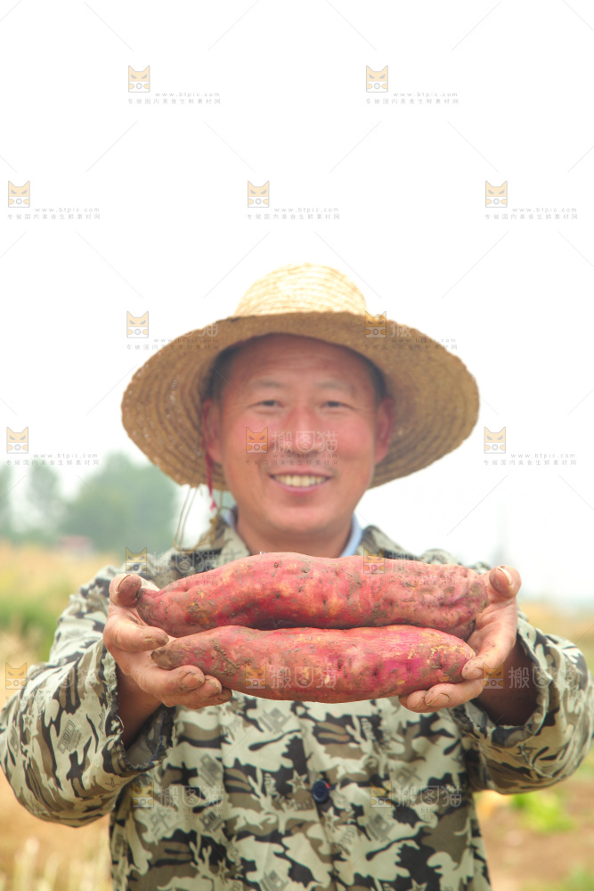 手里拿着板栗薯
