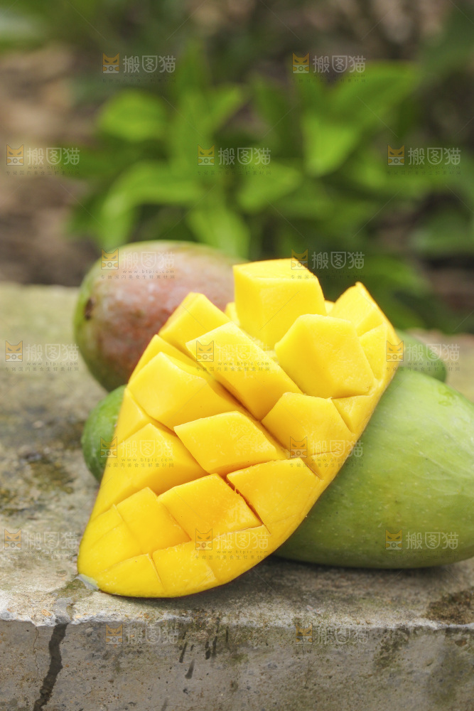石板上放着金煌芒果