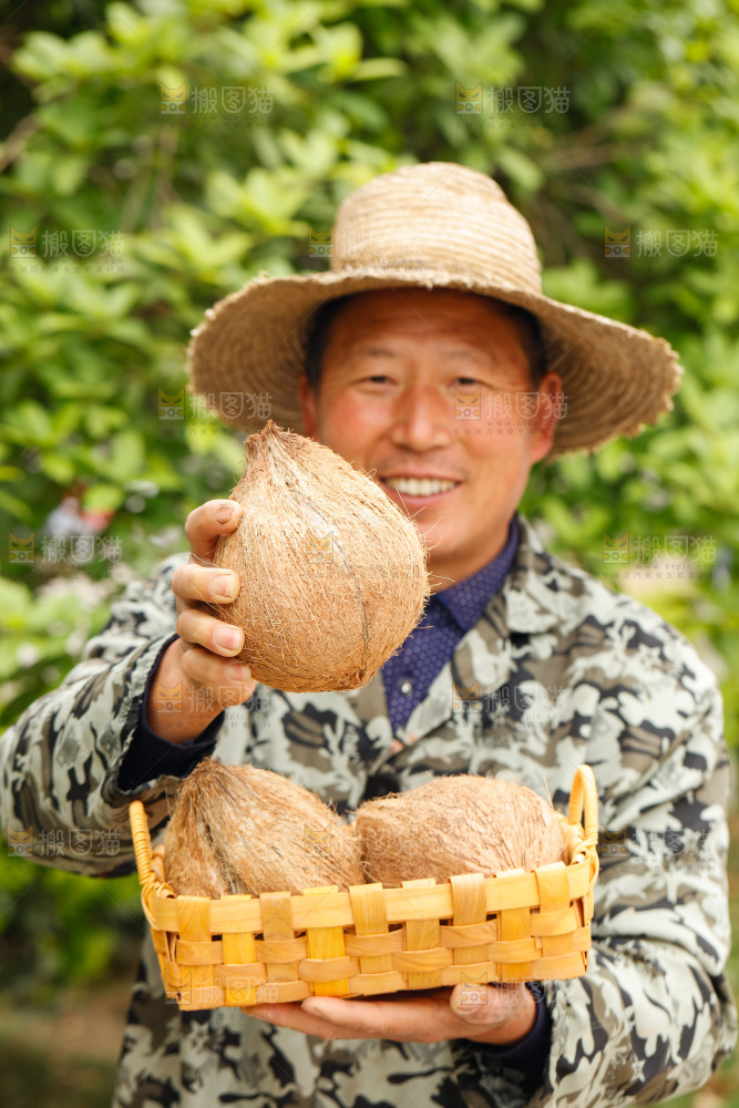 手里拿着老椰子