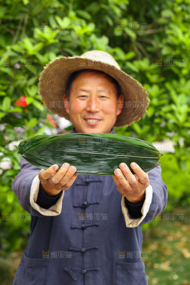 手里拿着粽叶