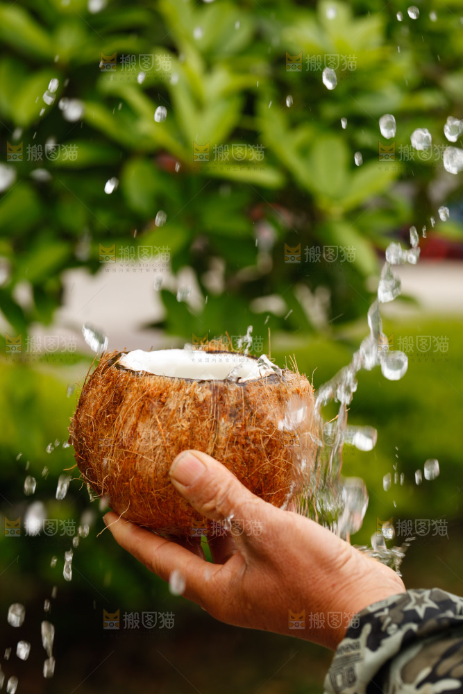 水花四溅的椰子汁