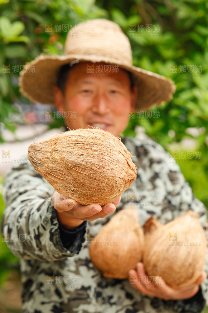 手里拿着老椰子