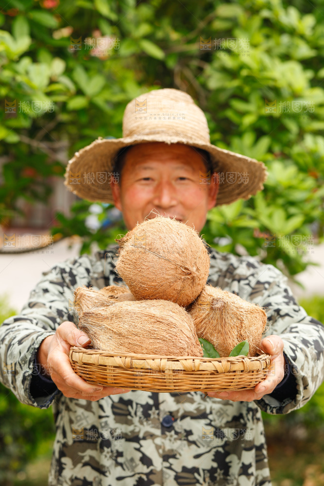 手里端着一篮海南老椰子